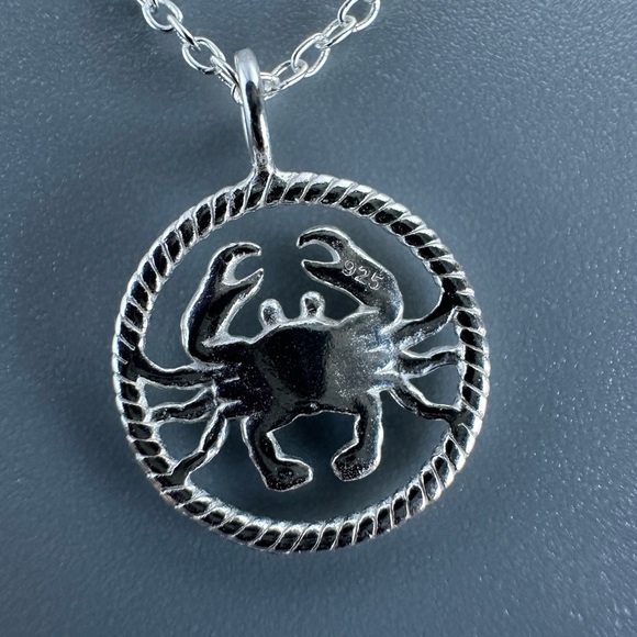 Sterling Silver Cancer Zodiac Sign Birth Necklace - Picture 6 of 7